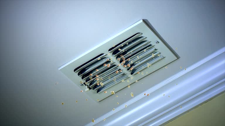 Best Air Duct Cleaning Near Me  in West Point, GA